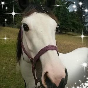 Meet your Posher, Marla